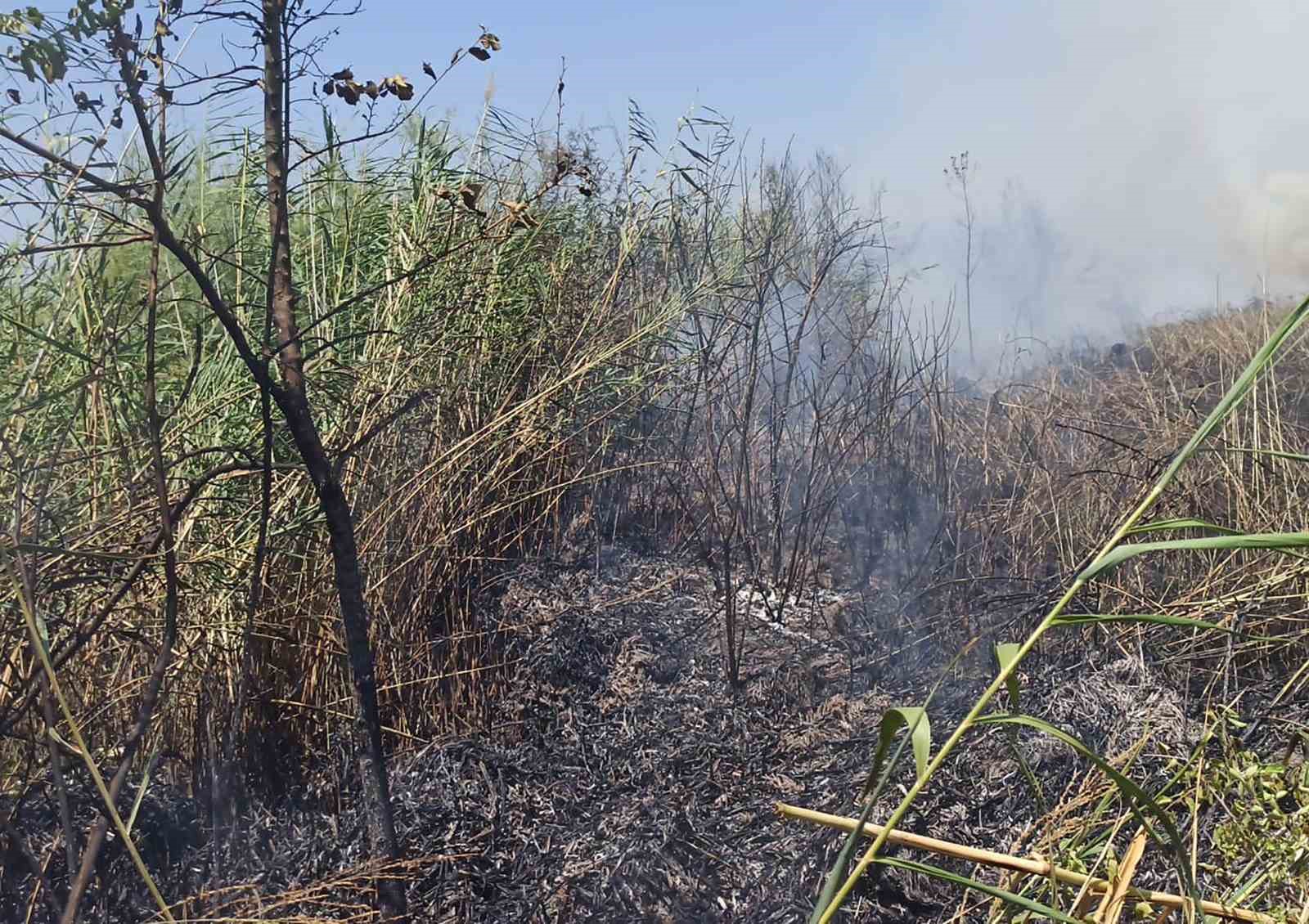 Köyceğiz sazlık yangınında soğutma çalışması yapılıyor 