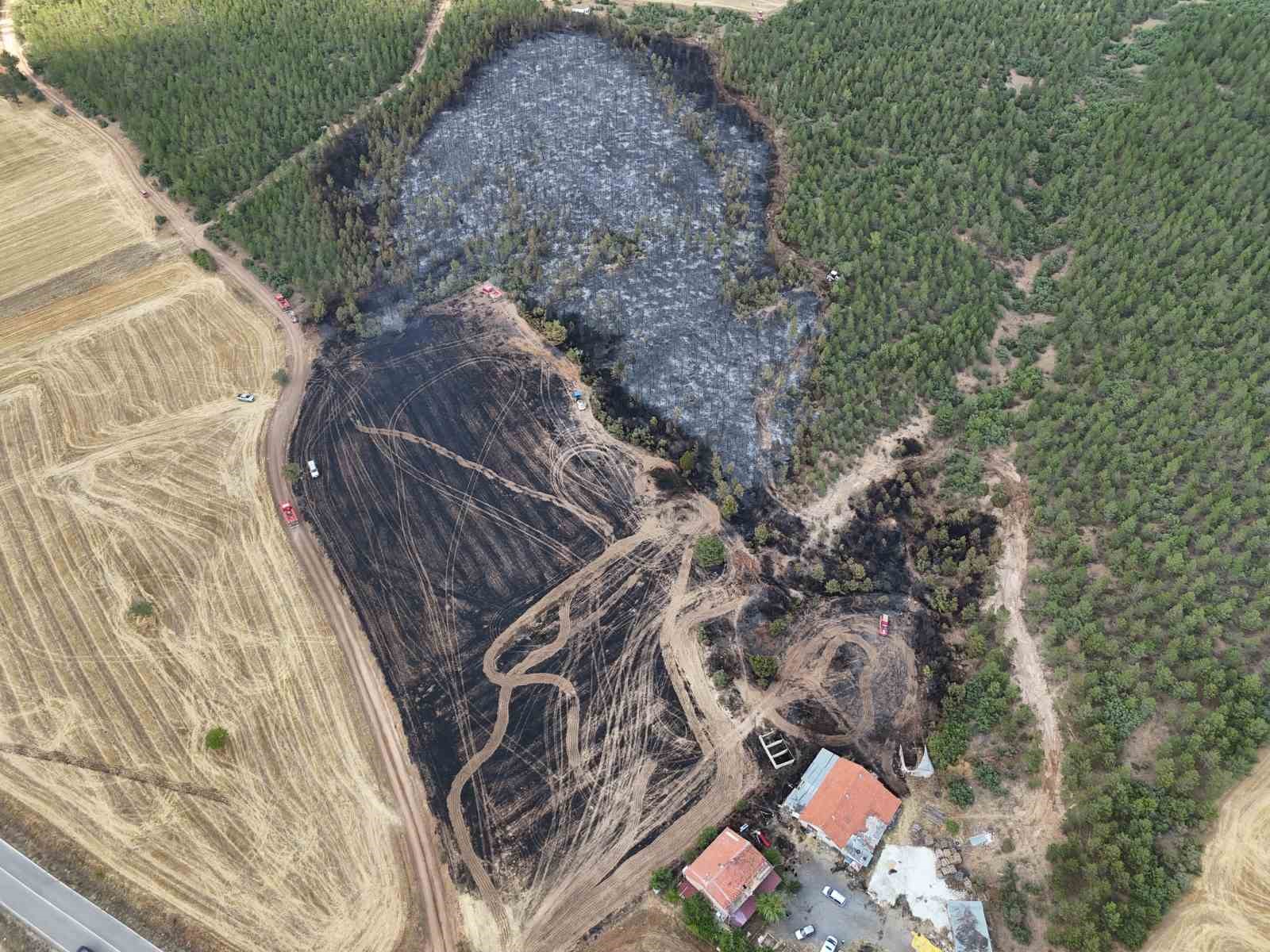 Uşak’ta ormanlık alana sıçrayan yangın söndürüldü 