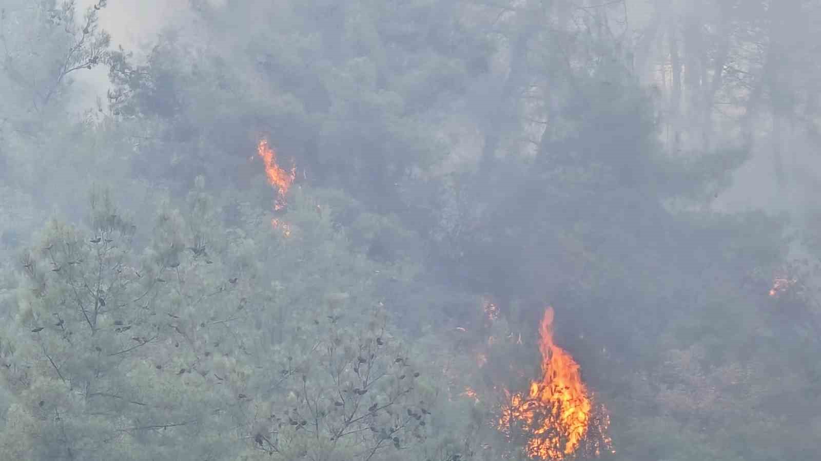 Karabük’teki orman yangını 2 saatte kontrol altına alındı 