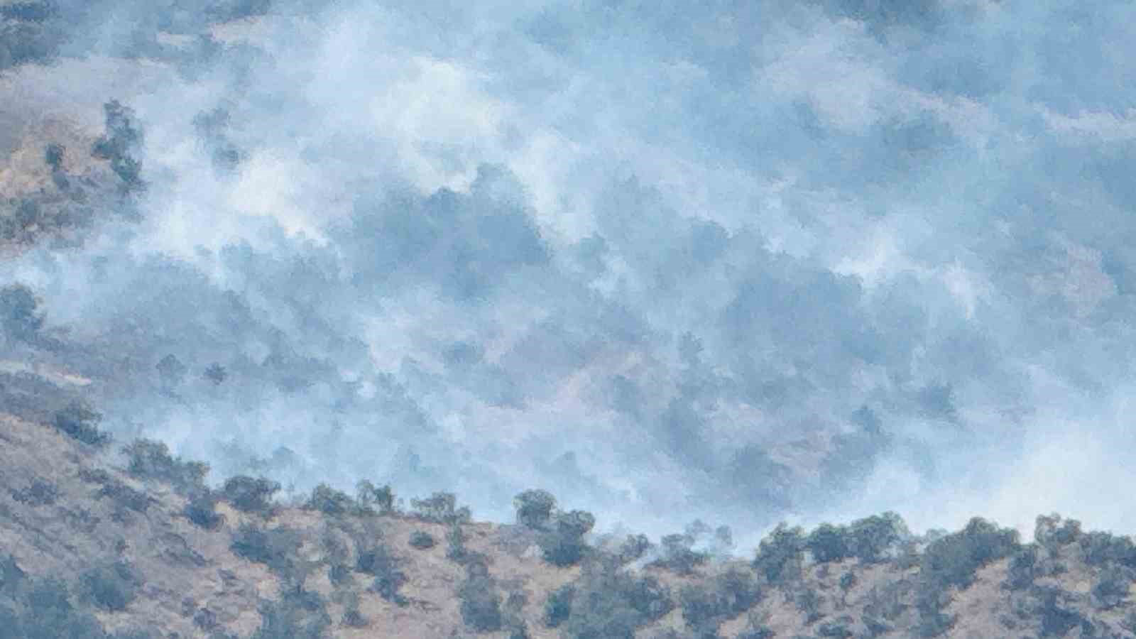 Şırnak’taki orman yangını 9 saatte kontrol altına alındı 