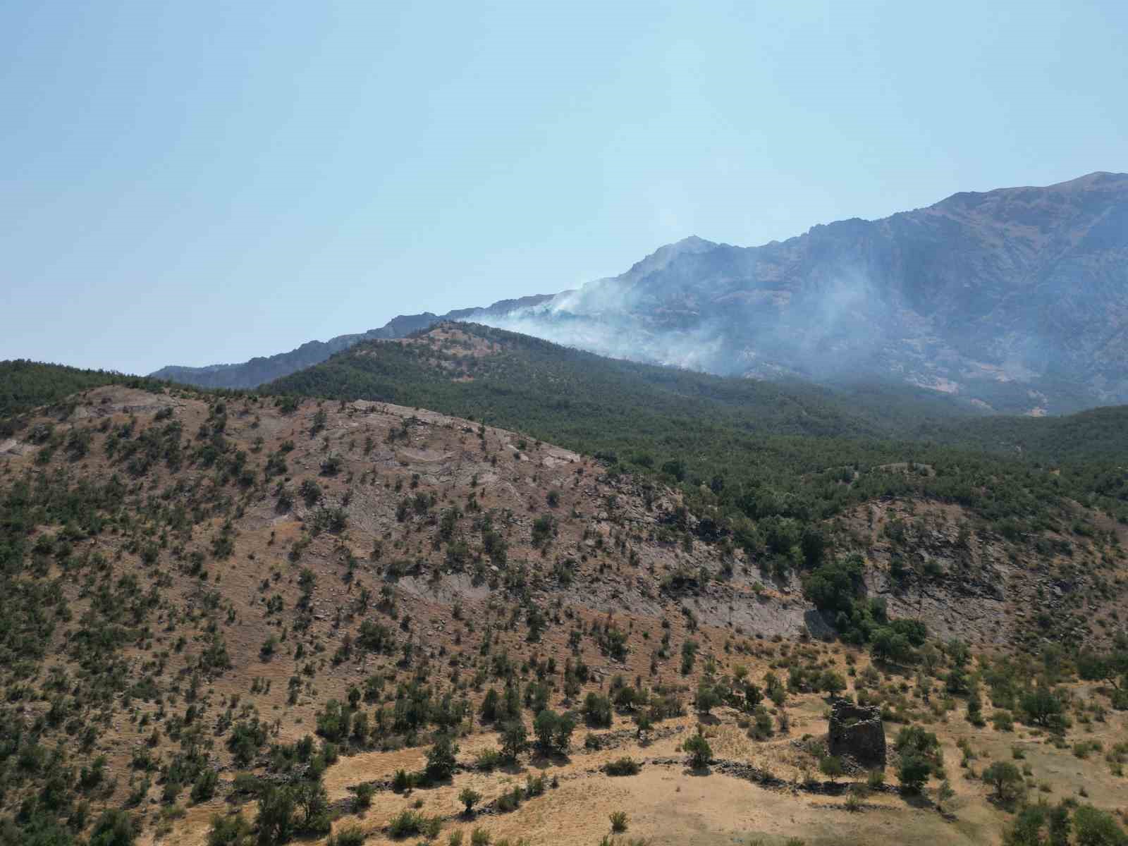 Şırnak’taki orman yangını 9 saatte kontrol altına alındı 