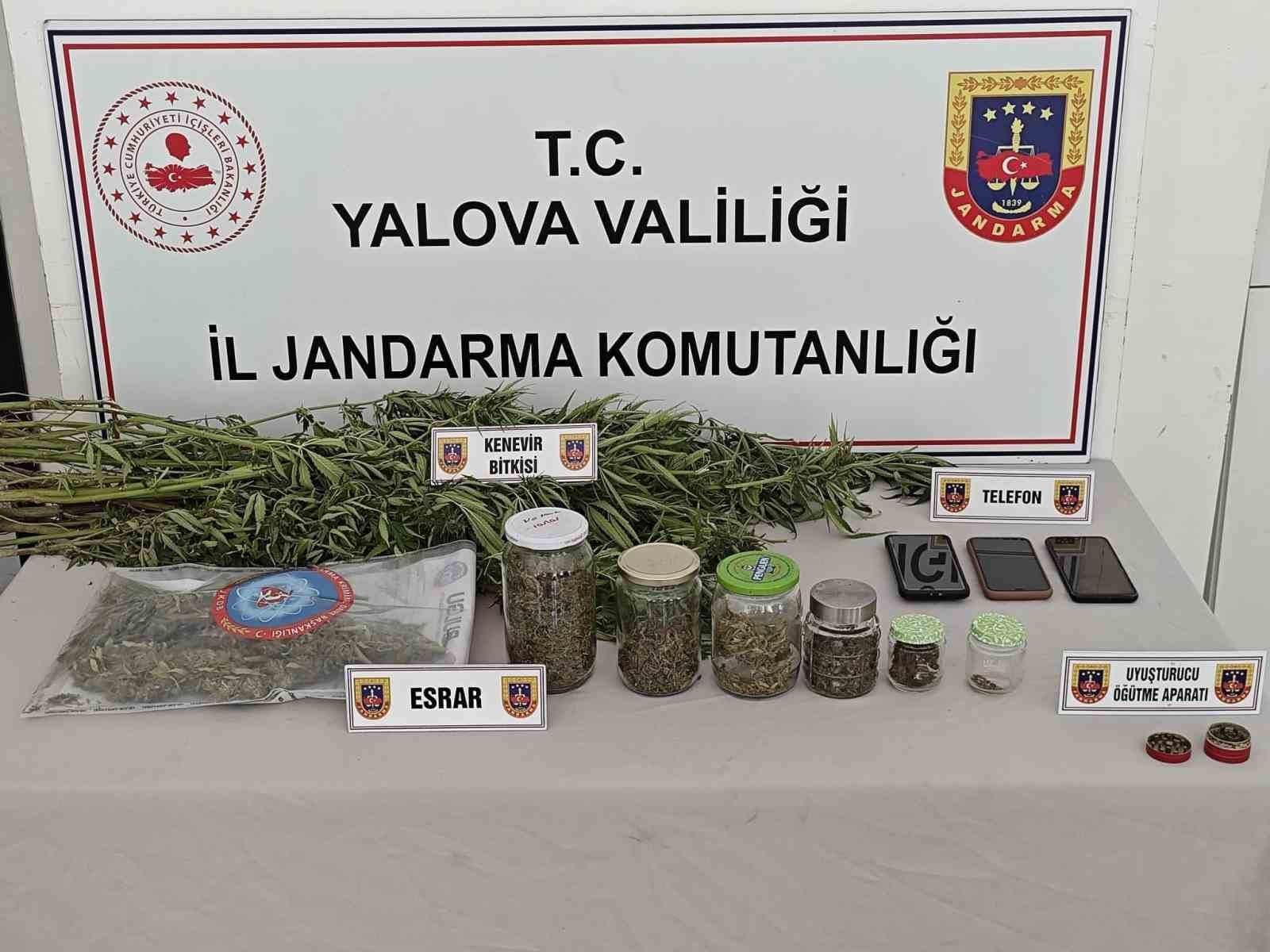 Yalova’da ormanlık alanda yasa dışı kenevir ekimi yapan 3 şüpheli yakalandı 