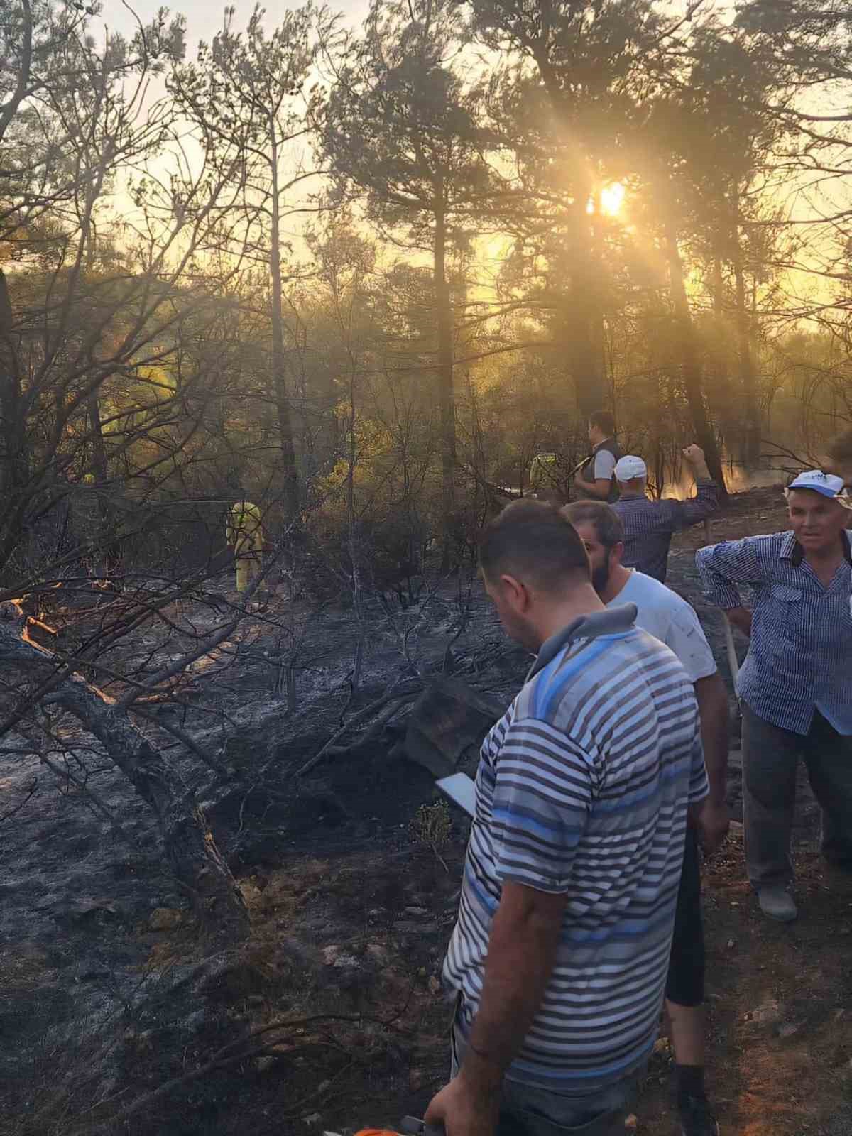 Tavas’ın ciğerlerini ateşe veren kundakçılardan akıl almaz tuzak 