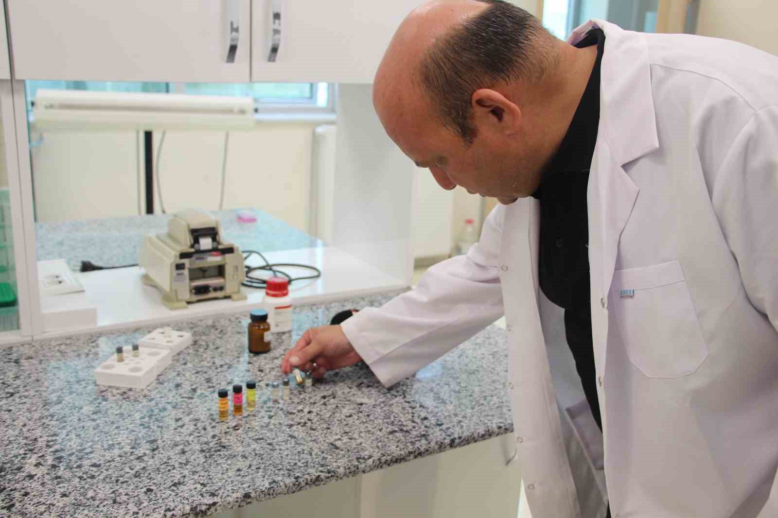 Beyin kanseri tedavisinde yerli ve etkili nano molekül geliştirildi 