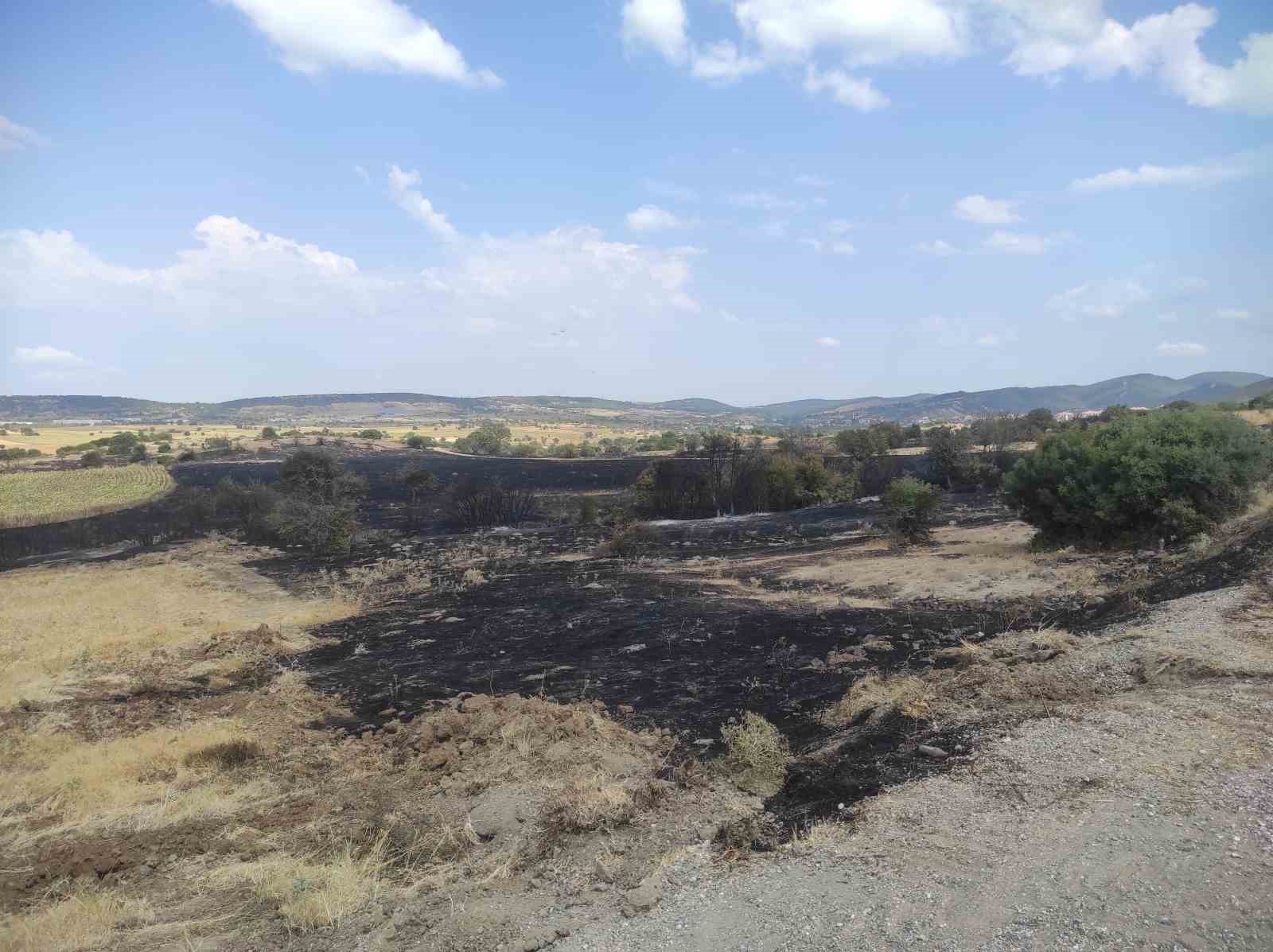 Edirne’deki orman yangınında imdada yağmur yetişti 