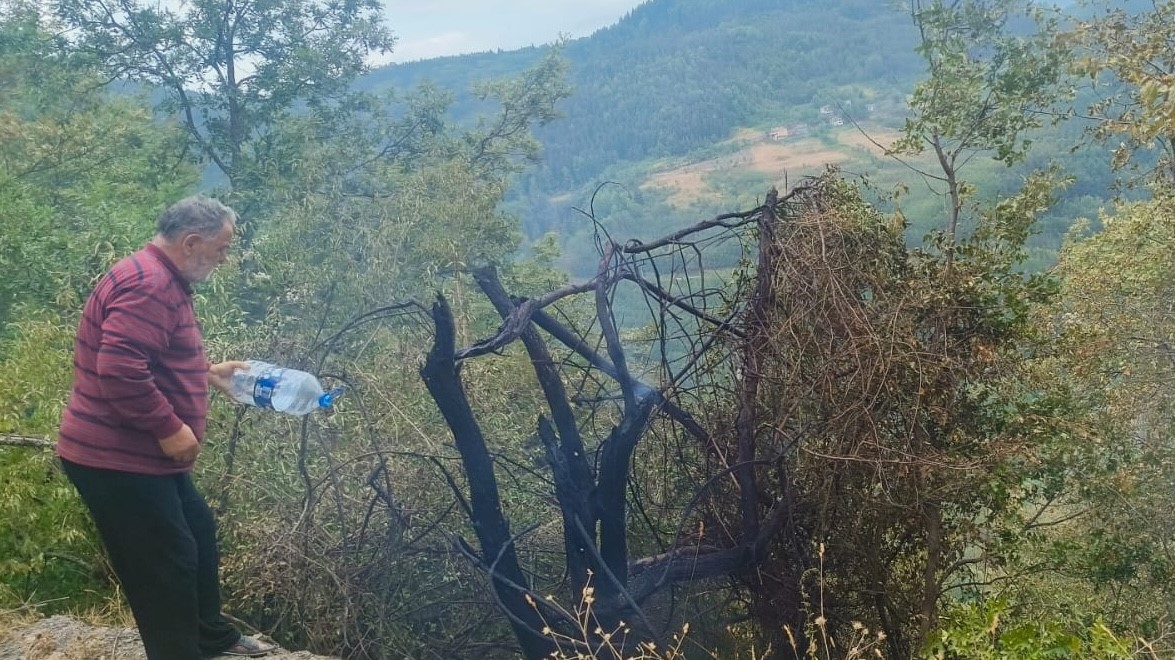 Çatalzeytin’de çıkan orman yangını kontrol altına alındı 