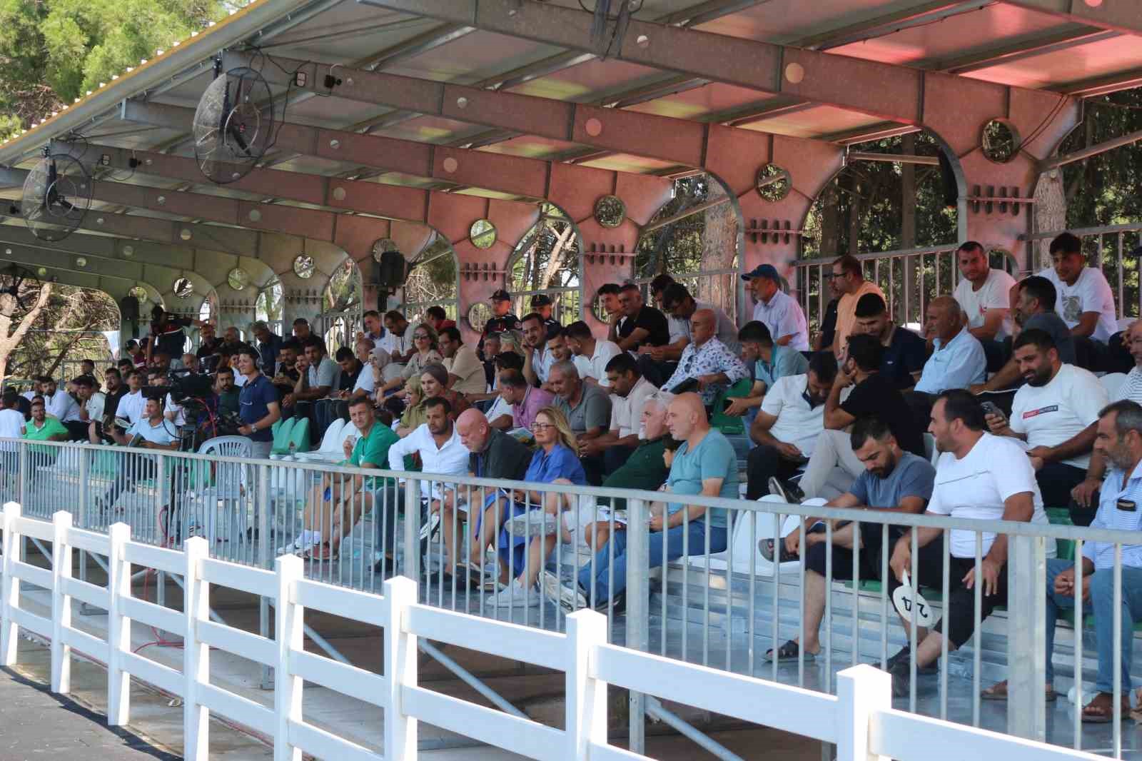 TİGEM’in en yüksek bedelli tayı e-satışla satıldı 