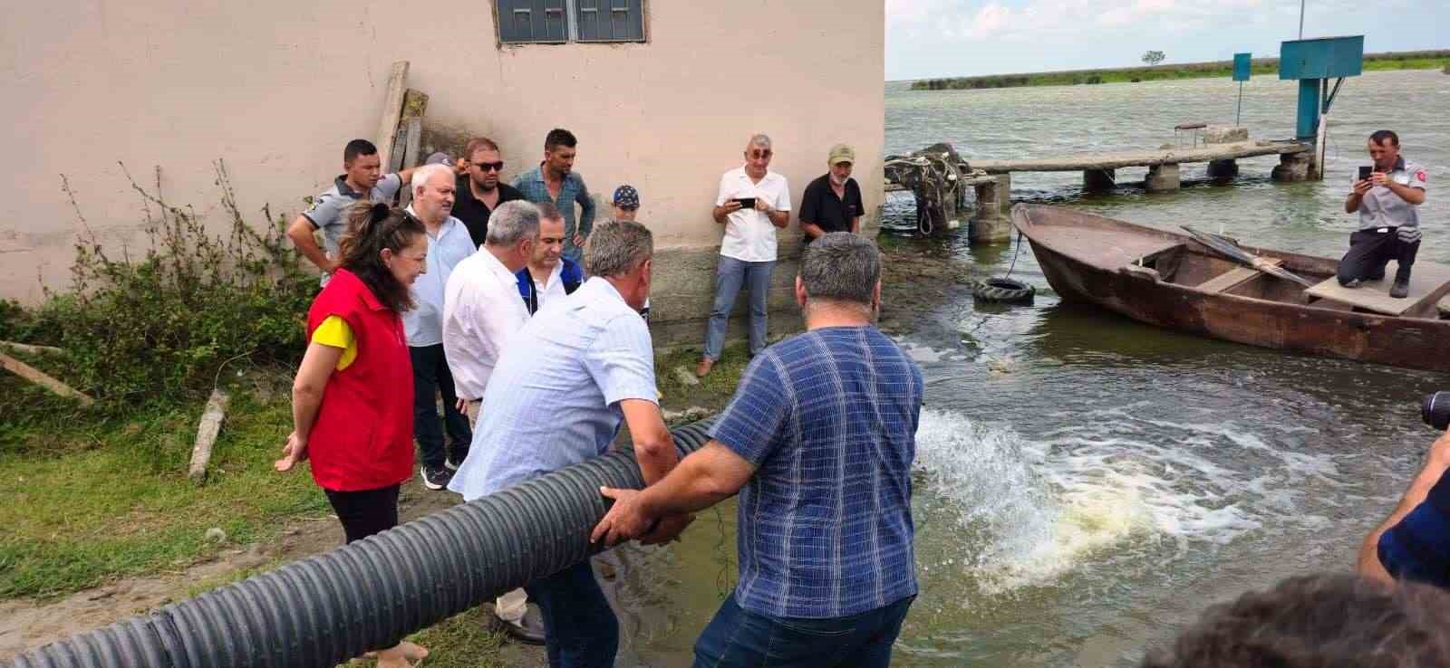 Samsun’da yaklaşık 2,5 milyon sazan su kaynaklarına bırakıldı 