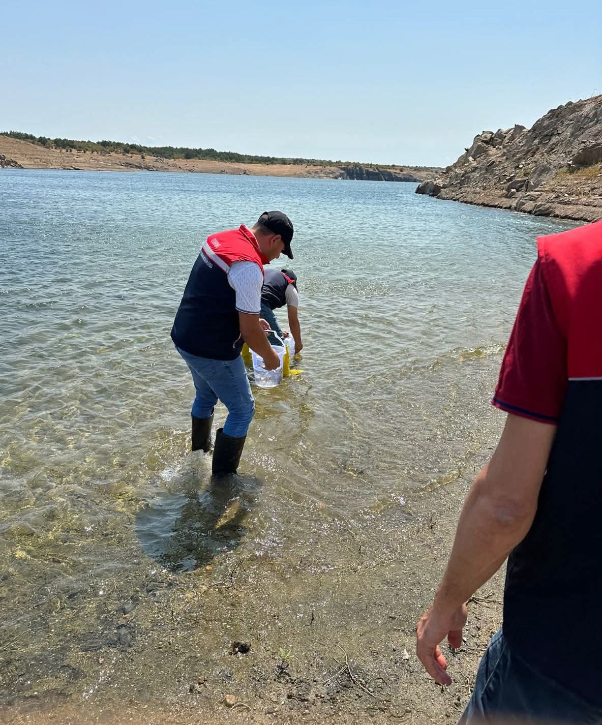 Kırklareli’ndeki göletlere 1 milyon 844 bin sazan yavrusu bırakıldı 