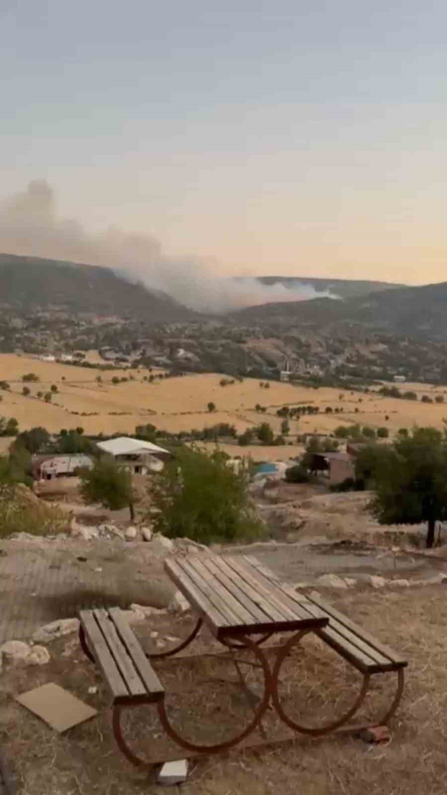 Diyarbakır’da ağaçlık alanda korkutan yangın: Alevlerin yaklaştığı ev tahliye edildi 