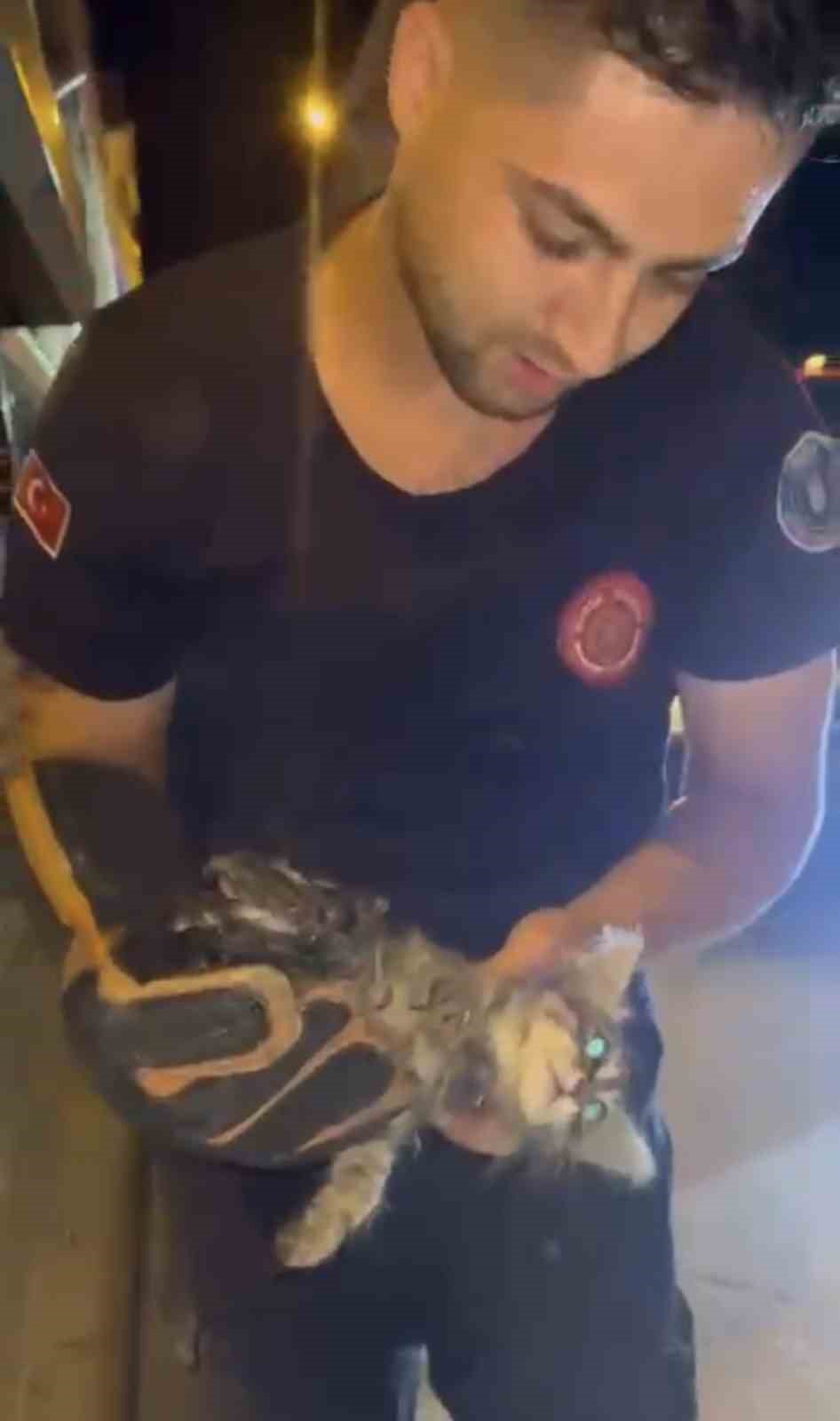 Kanalizasyonda mahsur kalan kedi böyle kurtarıldı 