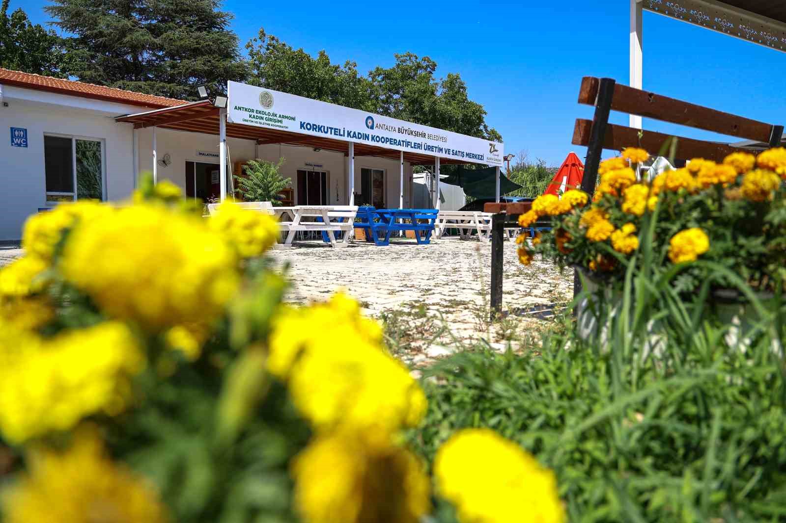 Büyükşehirden kadınlara üretim desteği 