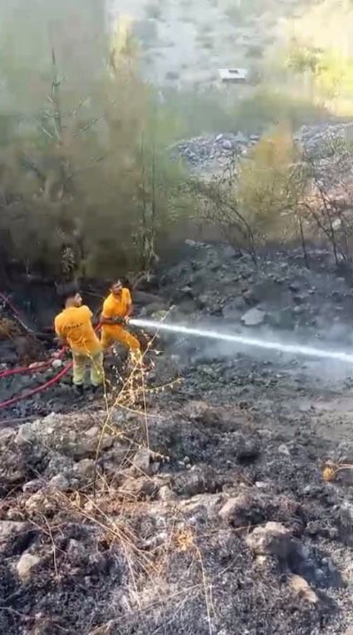 Osmaniye’de çıkan orman yangınından etkilenen kaplumbağa kurtarıldı 