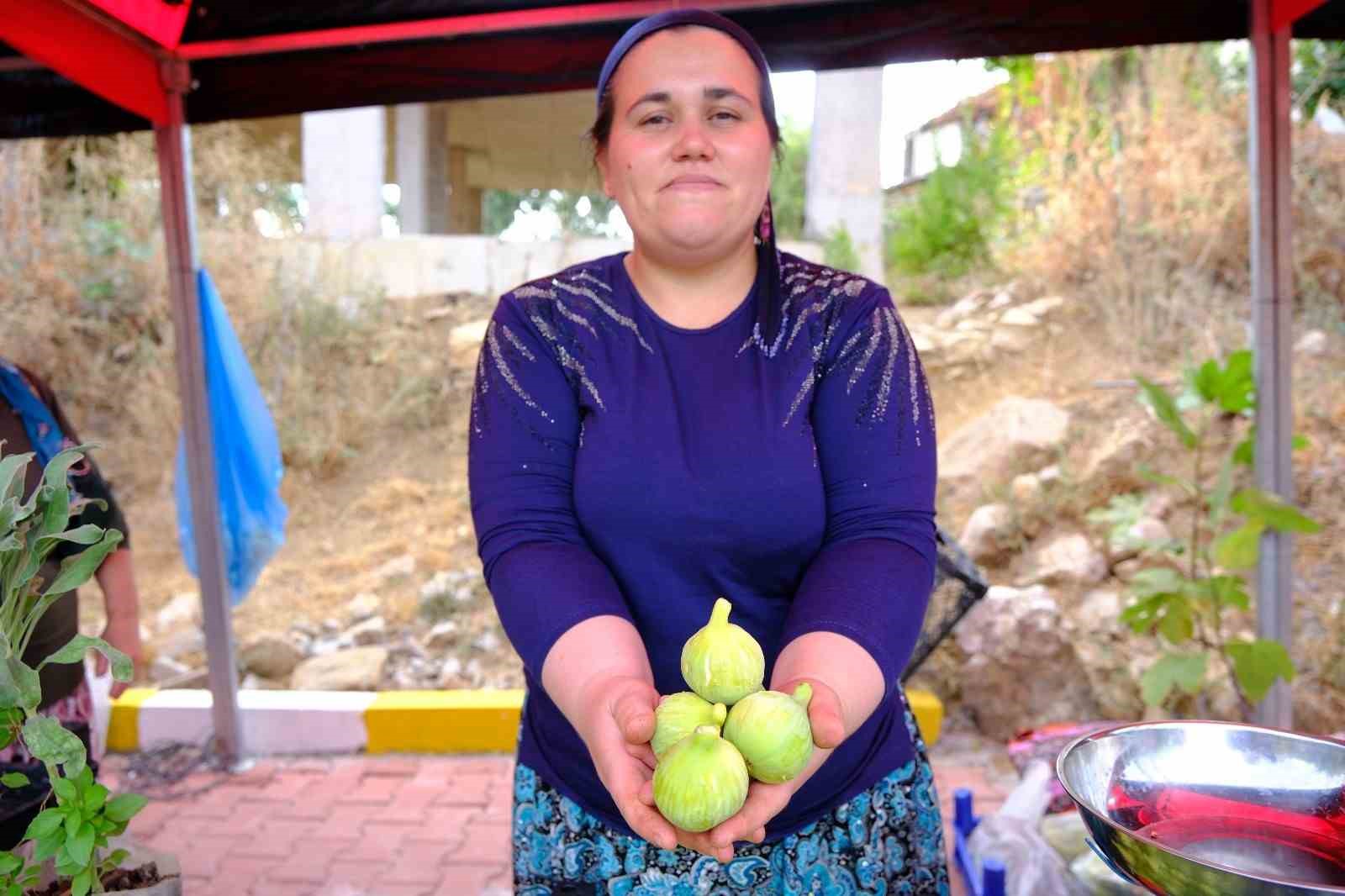 Menemen’de Bozalan İncir Festivali heyecanı yaşanacak 