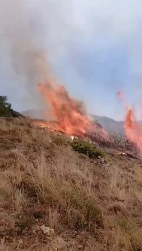 İspir’de bitki örtüsü yangını korkuttu 
