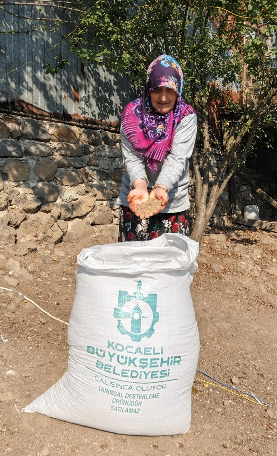 Üreticiye 15 bin tavuk ve 100 ton yem desteği 