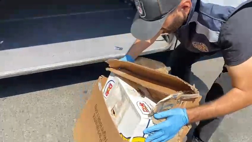 Samsun’da yolcu otobüsünde 2 kilo skunk ele geçirildi: 2 gözaltı 