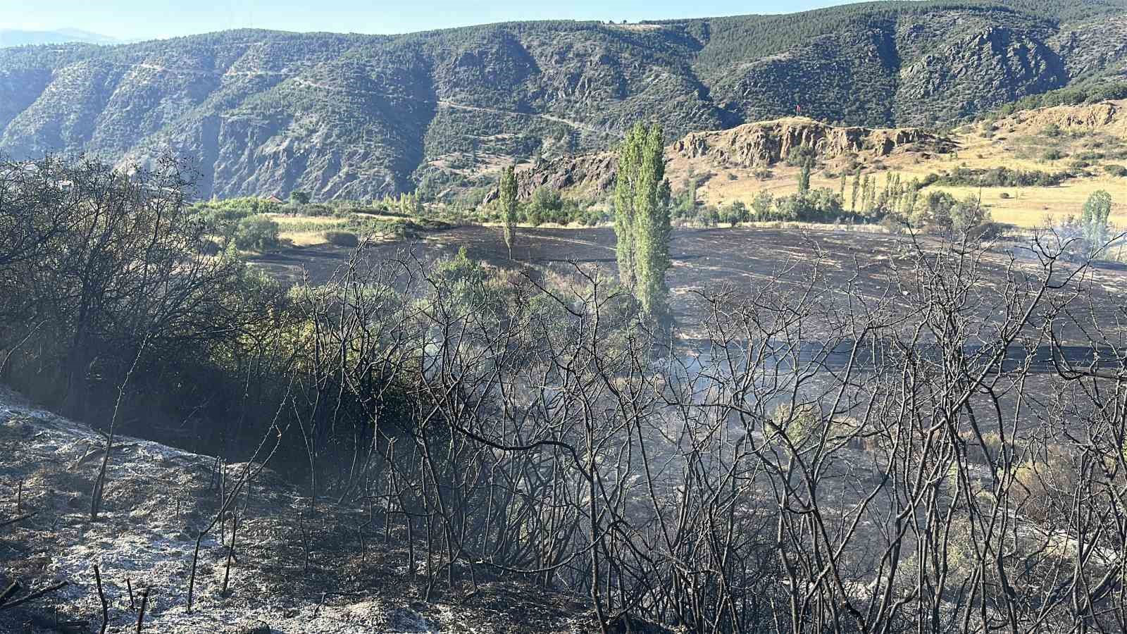 Kastamonu’da korkutan yangın: Samanlık, odunluk ve 30 dönüm arazi yandı 