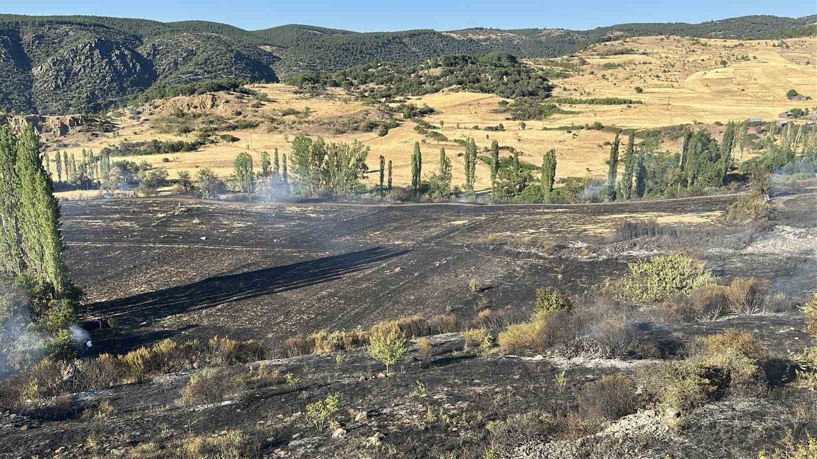 Kastamonu’da korkutan yangın: Samanlık, odunluk ve 30 dönüm arazi yandı 