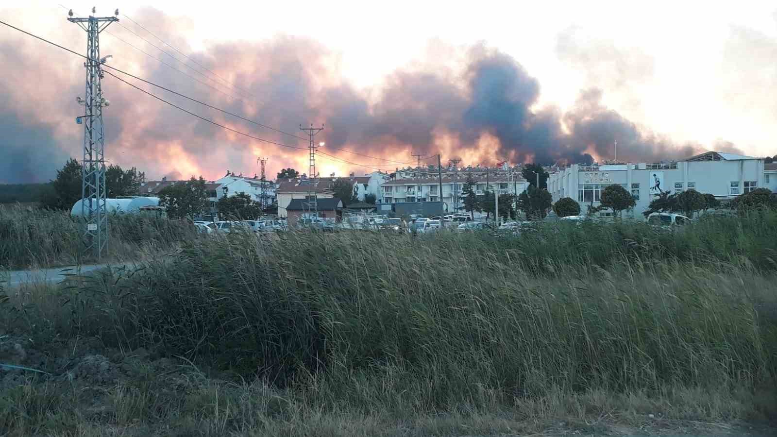 Edirne’de tarlada çıkan yangın ormanlık alana doğru ilerliyor 