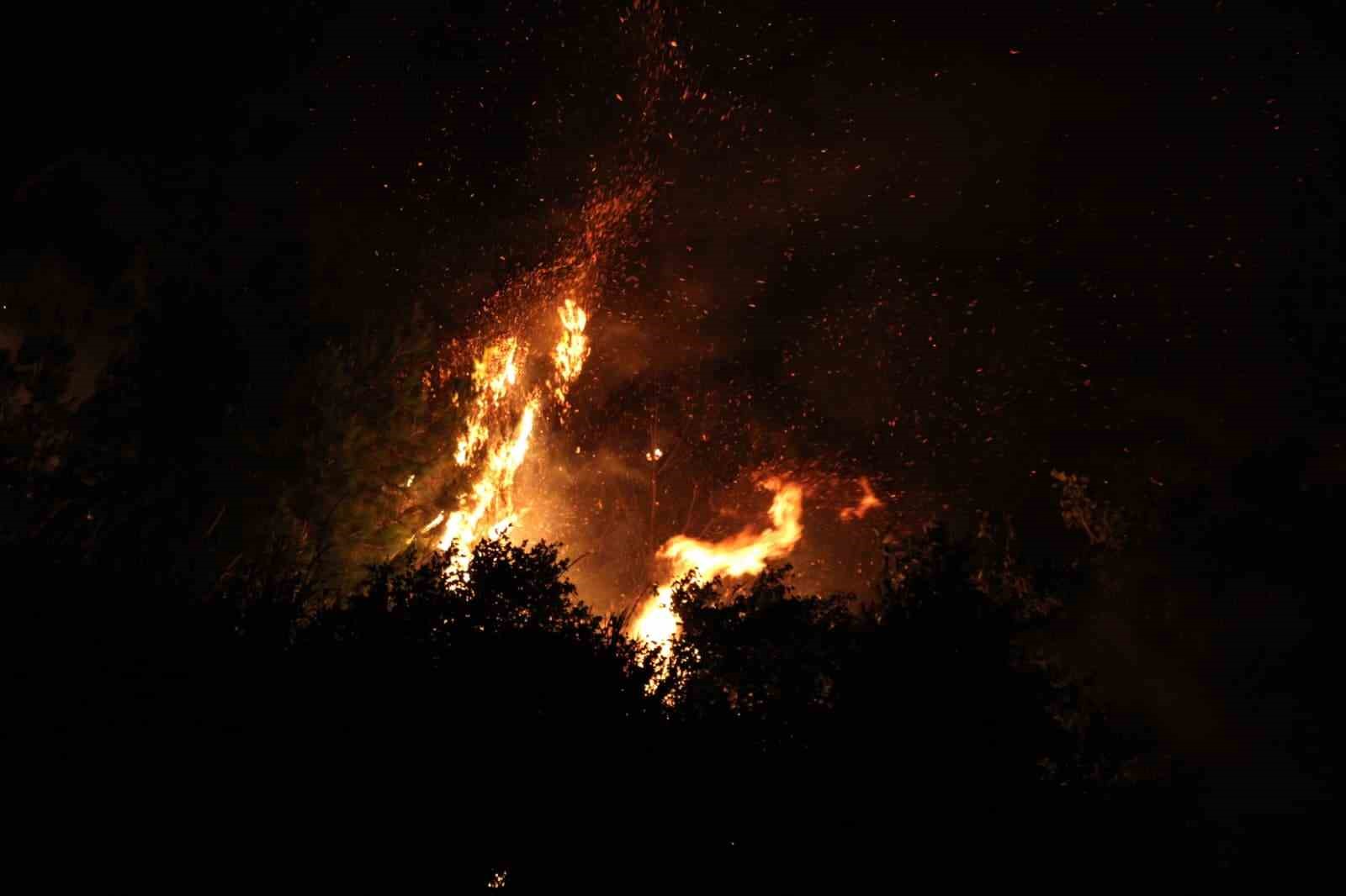Çanakkale’de yangın etkisini sürdürüyor... Ekiplerin müdahalesi gece de sürüyor 