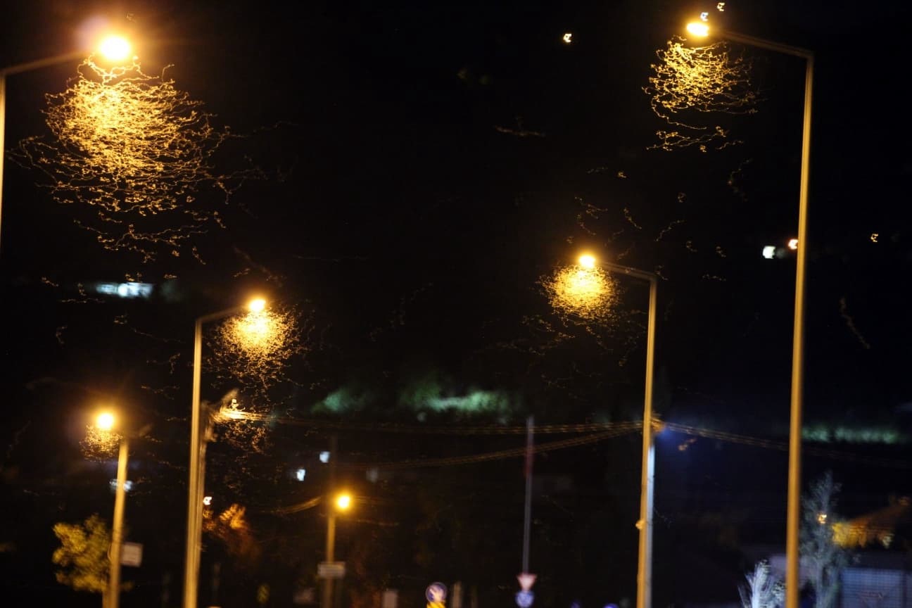 Yol beyaza büründü: Kar değil, birgün sineklerinin ‘ölüm dansı’ 