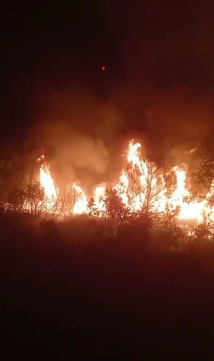 Hatay’da orman yangını sürüyor... Alevlere müdahale 10. saatte devam ediyor 
