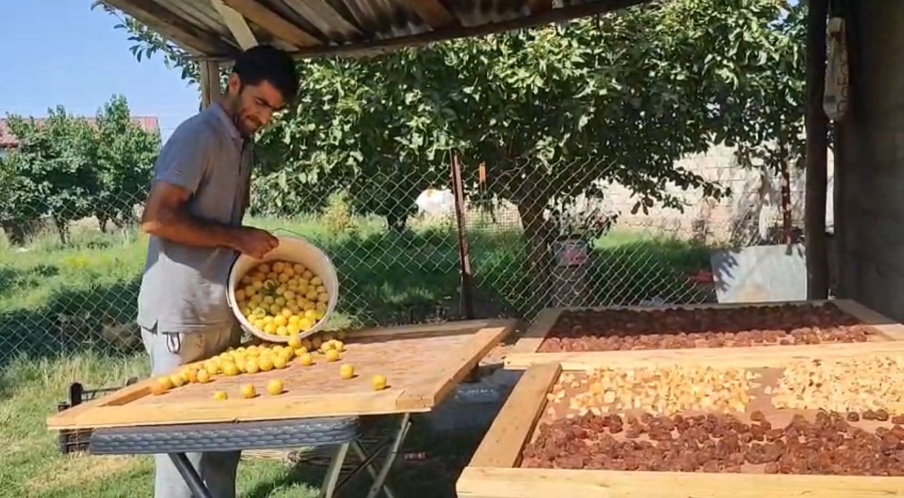 Iğdır’da güneşte kurutulan meyveler pazarda satılıyor 