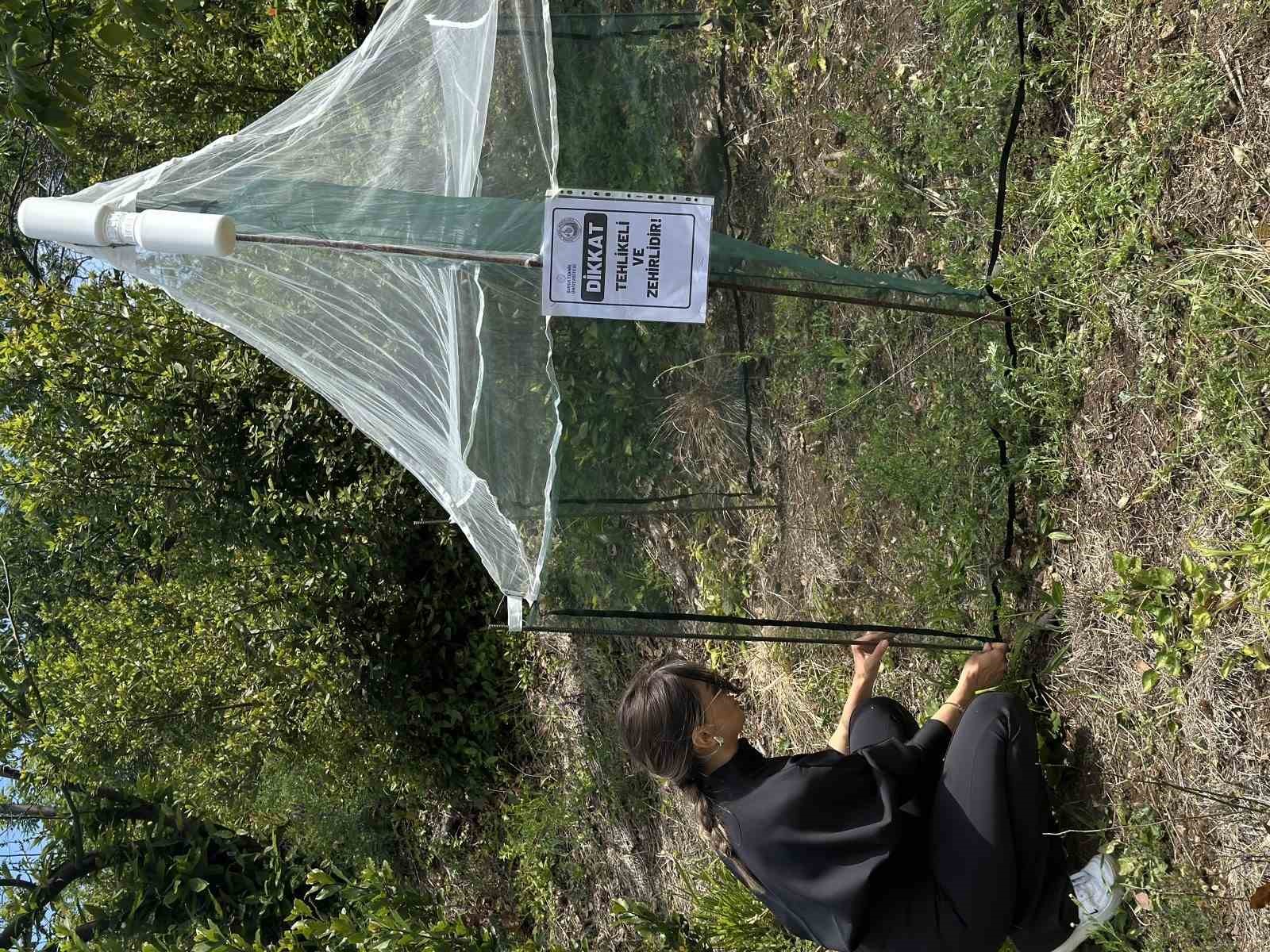BTÜ Karacabey’in nadir böcek türlerini kayıt altına alacak 