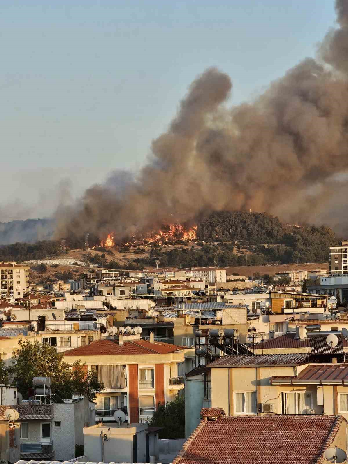 İzmir Buca’da orman yangını 