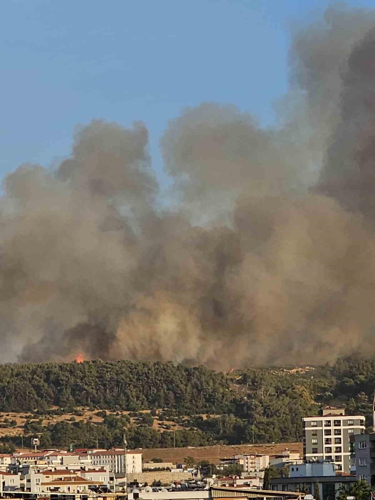 İzmir Buca’da orman yangını 