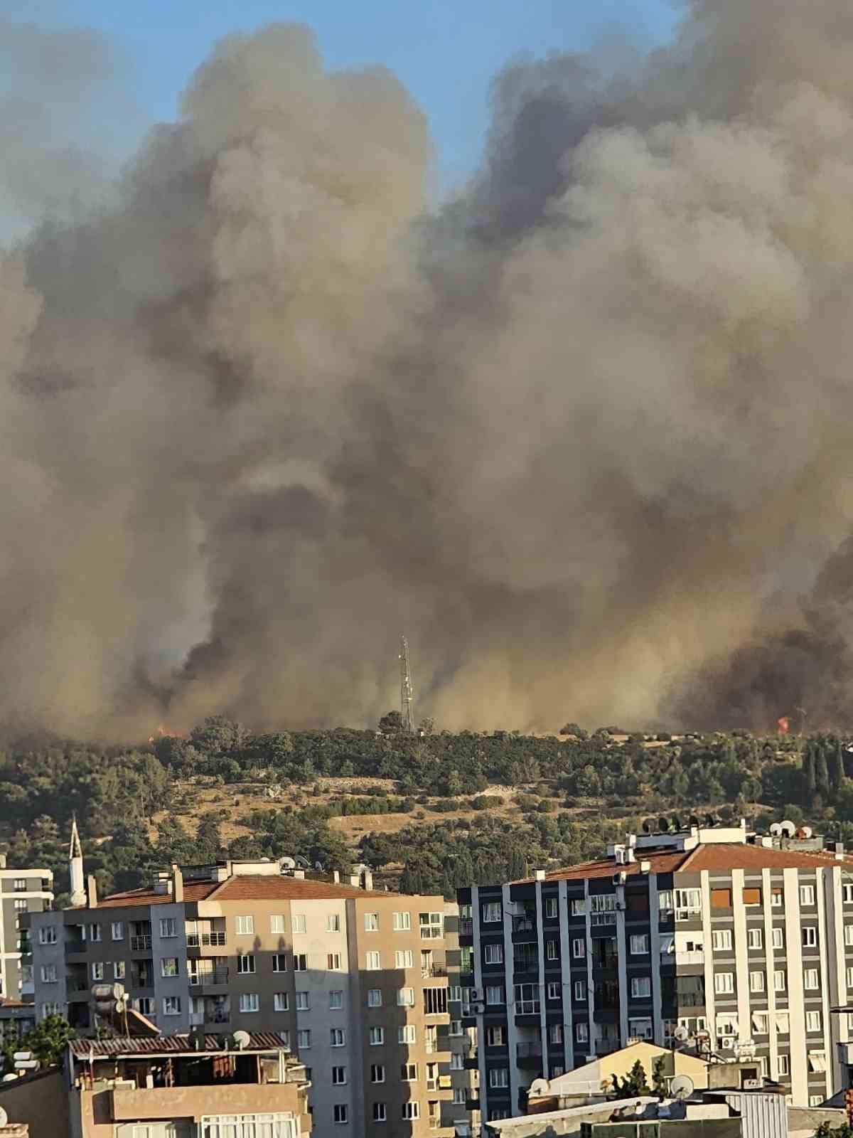 İzmir Buca’da orman yangını 