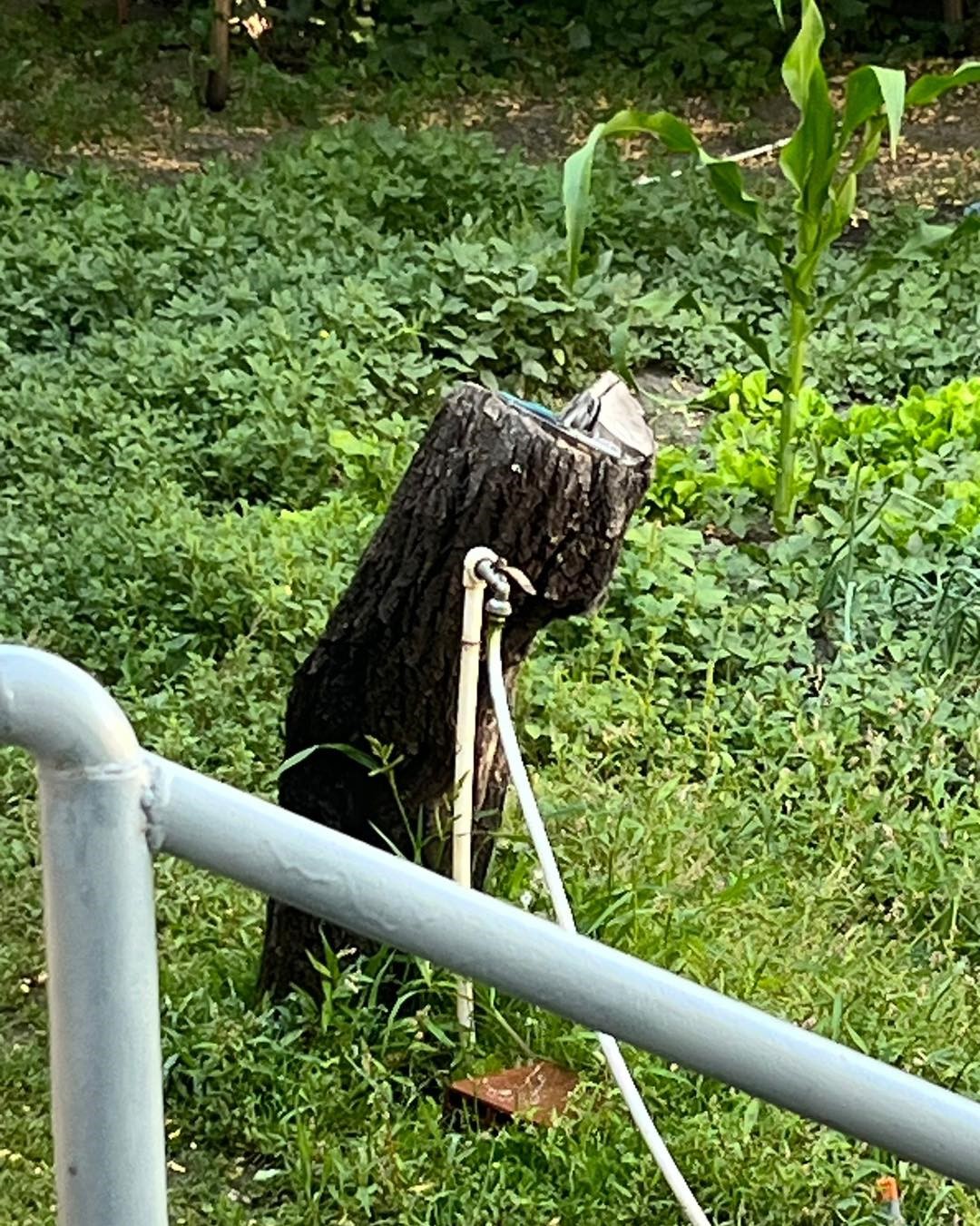 Arpaçay’da suyu kaçak kullananlara ceza kesilecek 