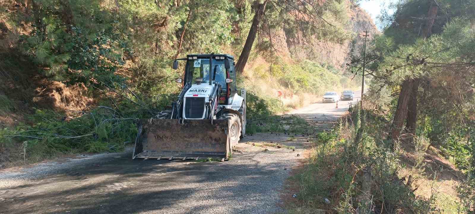 Alaşehir’de devrilen ağaç yolu ulaşıma kapattı 