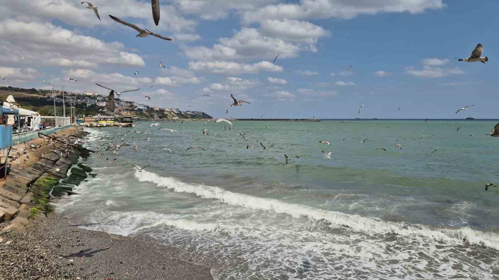 Tekirdağ’da poyraz deniz ulaşımını aksattı 