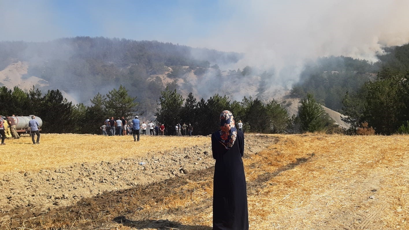 Bolu’daki orman yangınıyla ilgili 1 kişi tutuklandı 