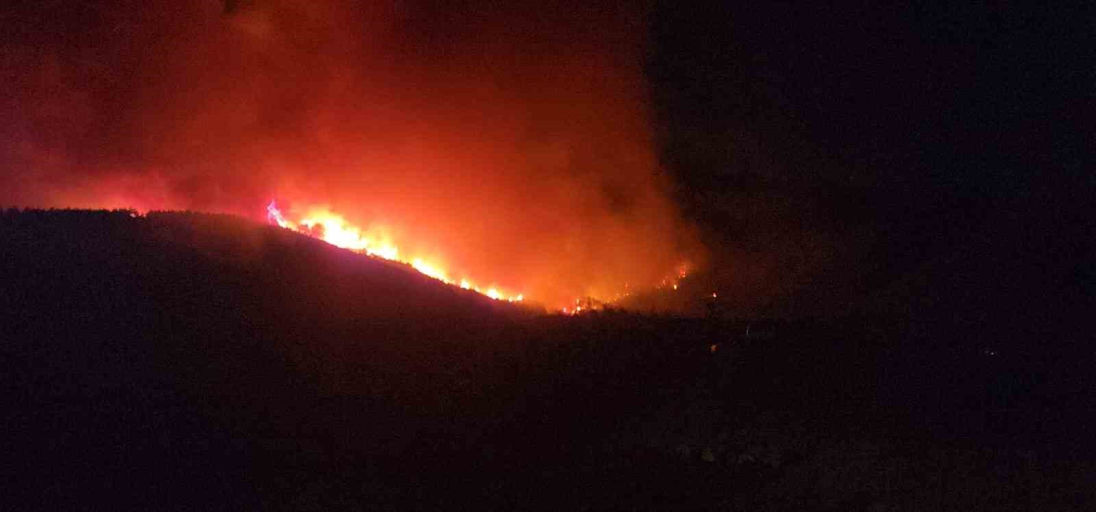 Hatay’da orman yangınının etkili olduğu bölgede evler tahliye ediliyor