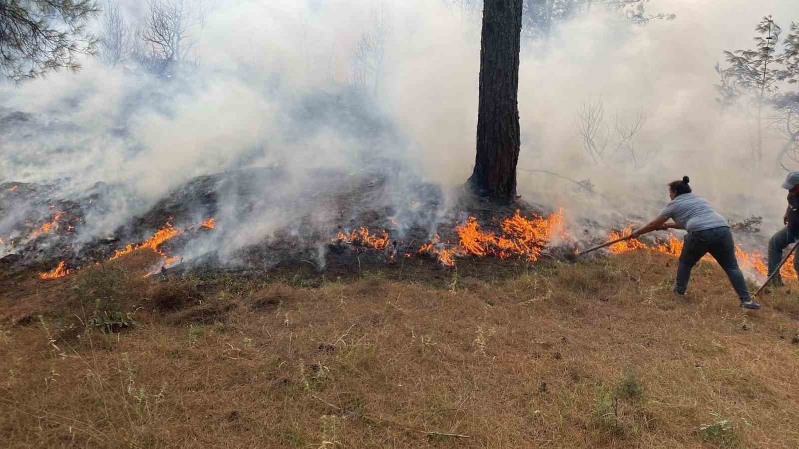 Ayvacık’ta ormanlık alanda yangına, müdahale devam ediyor 