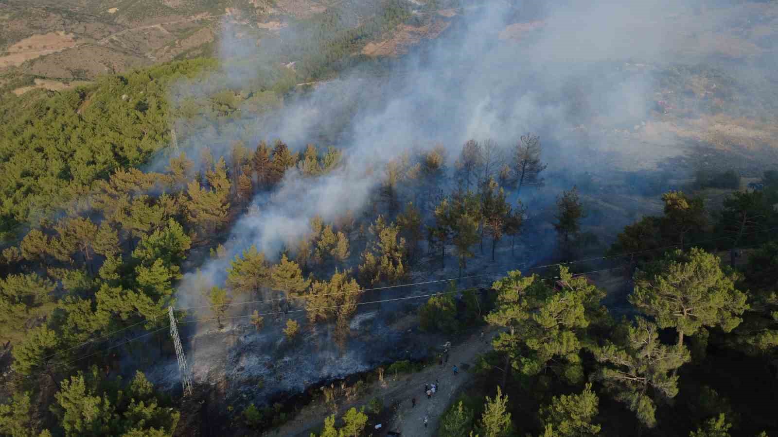 Manisa’daki yangında 5 hektarlık kızılçam ormanı zarar gördü 