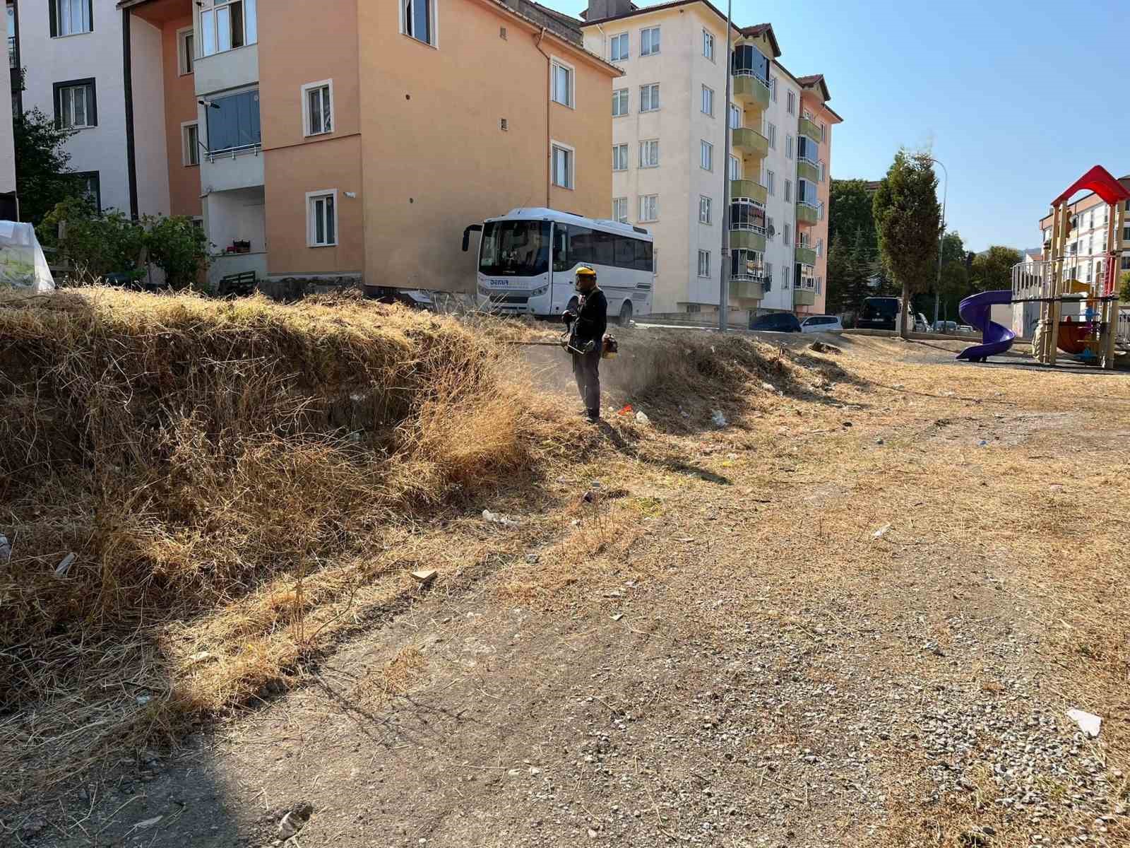 Söğüt’te refüjler ve yeşil alanlar yenileniyor 