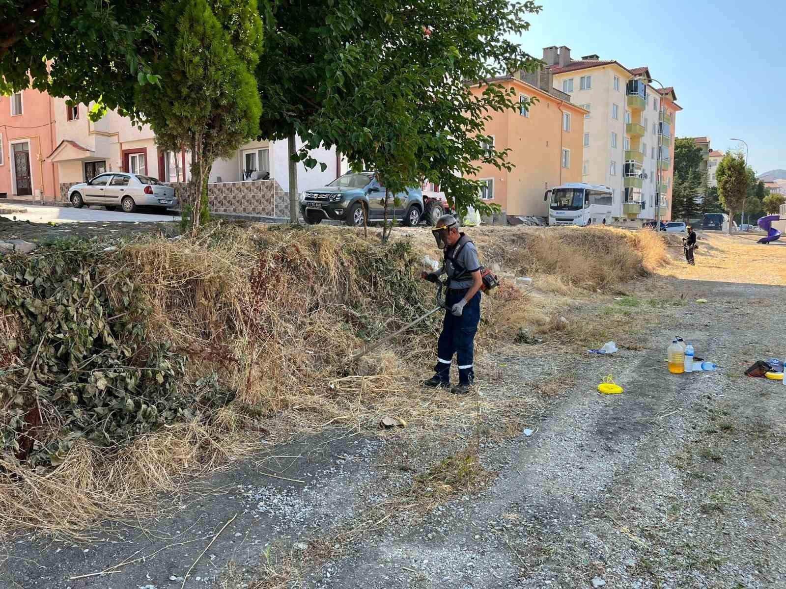 Söğüt’te refüjler ve yeşil alanlar yenileniyor 