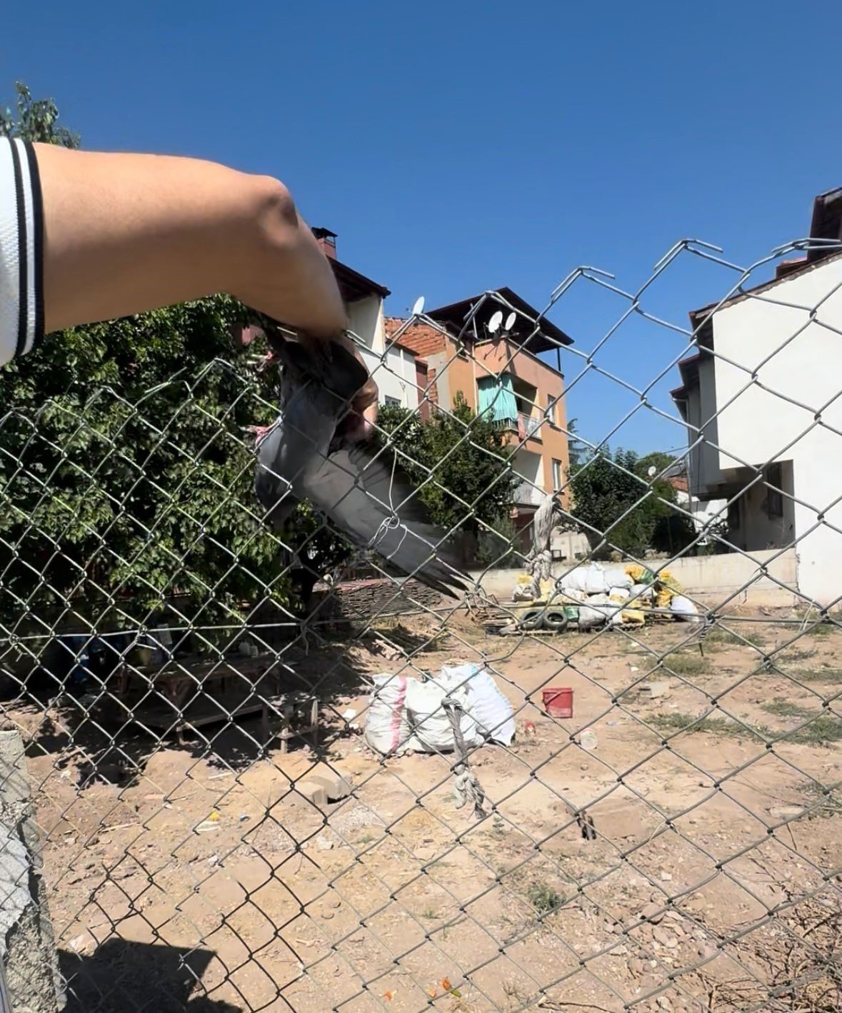 Tellere takılan güvercin imdadına muhtar yetişti 