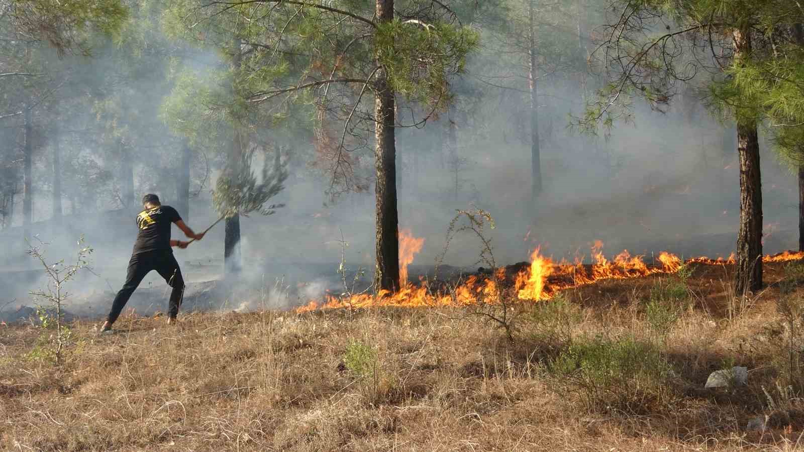 Adıyaman’daki orman yangını kontrol altına alındı 