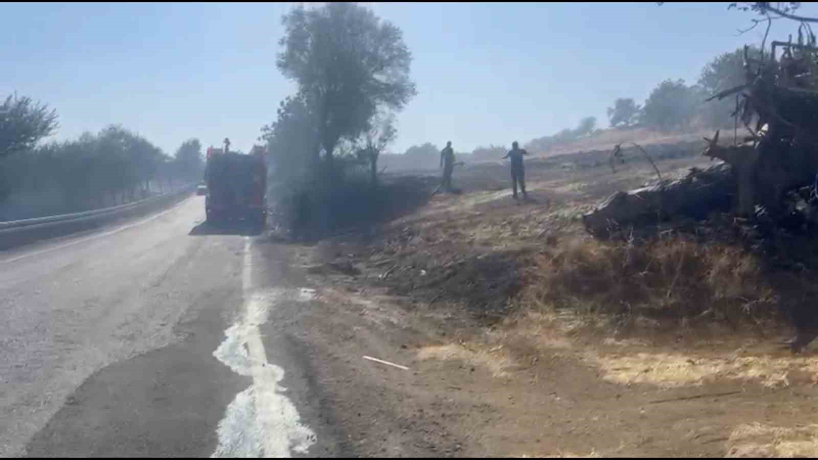 Tekirdağ’da alevler tarla ve ormanı sardı: 10 ev boşaltıldı 