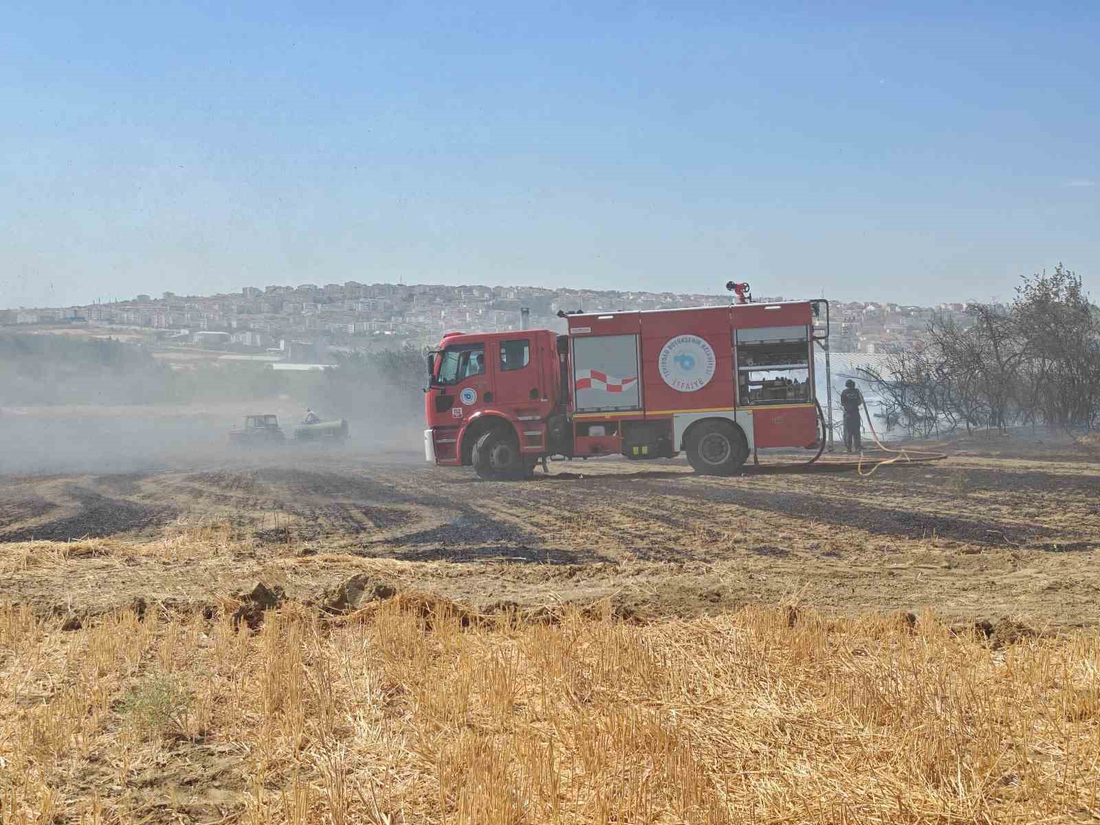 Tekirdağ’da yol kenarında çıkan yangın büyümeden söndürüldü 