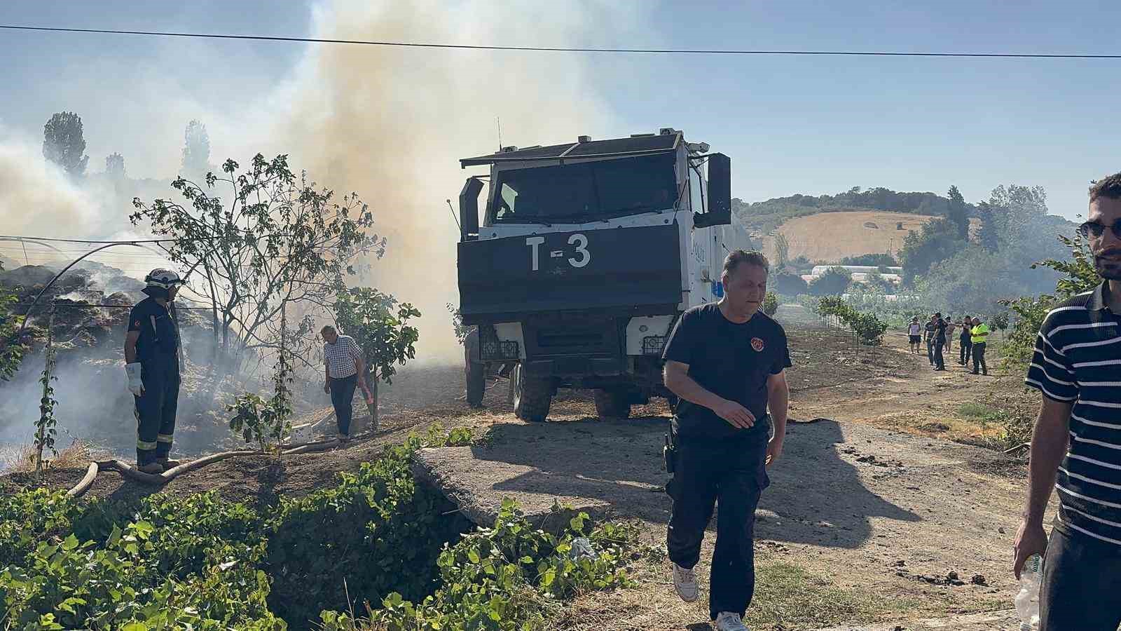 Yalova’da büyükbaş hayvanlar alevlerden son anda kurtarıldı 