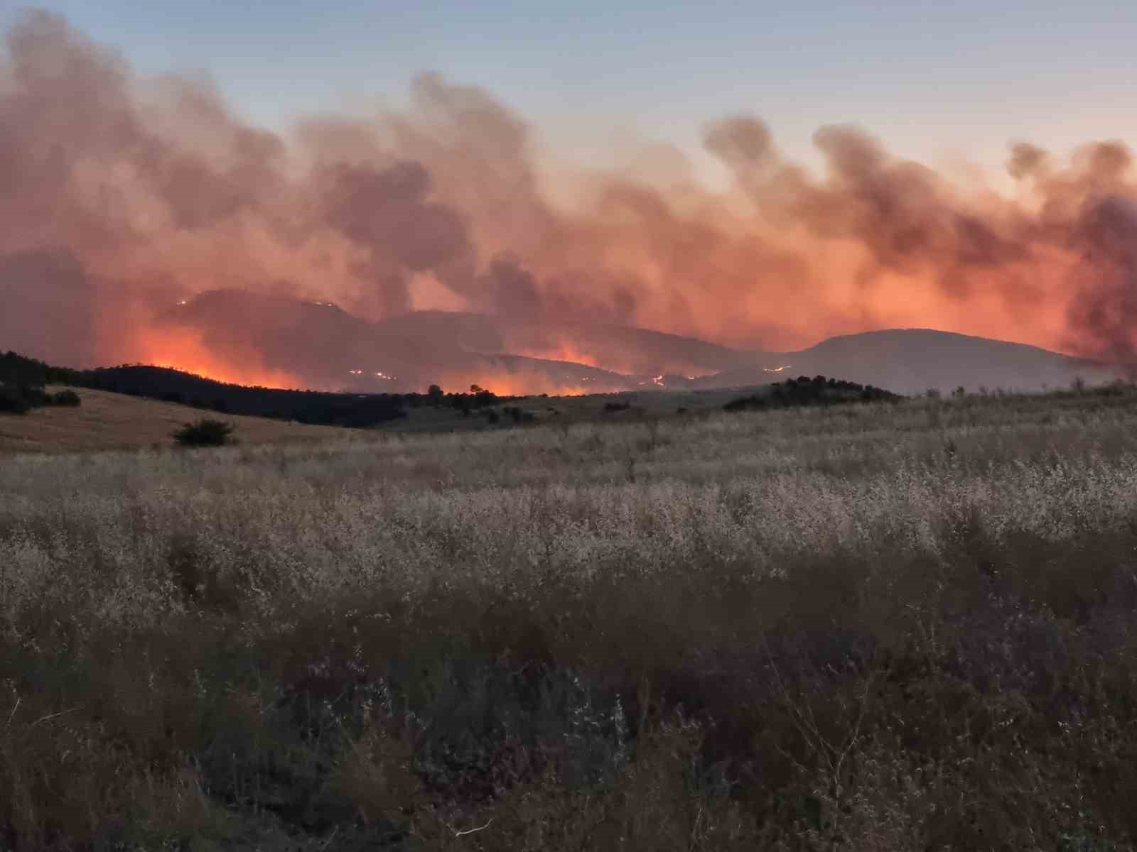 Diyarbakır’ın 3 ilçesinde etkili olan yangına müdahale devam ediyor 
