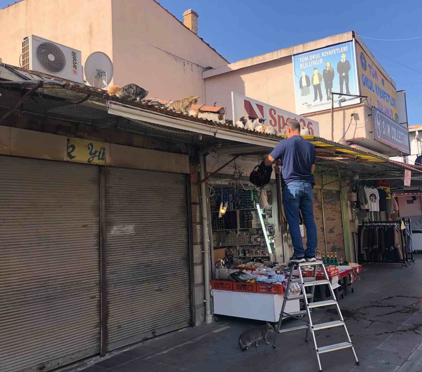 Eskişehir’de esnaf hergün çatıya tırmanıp kedileri besliyor 