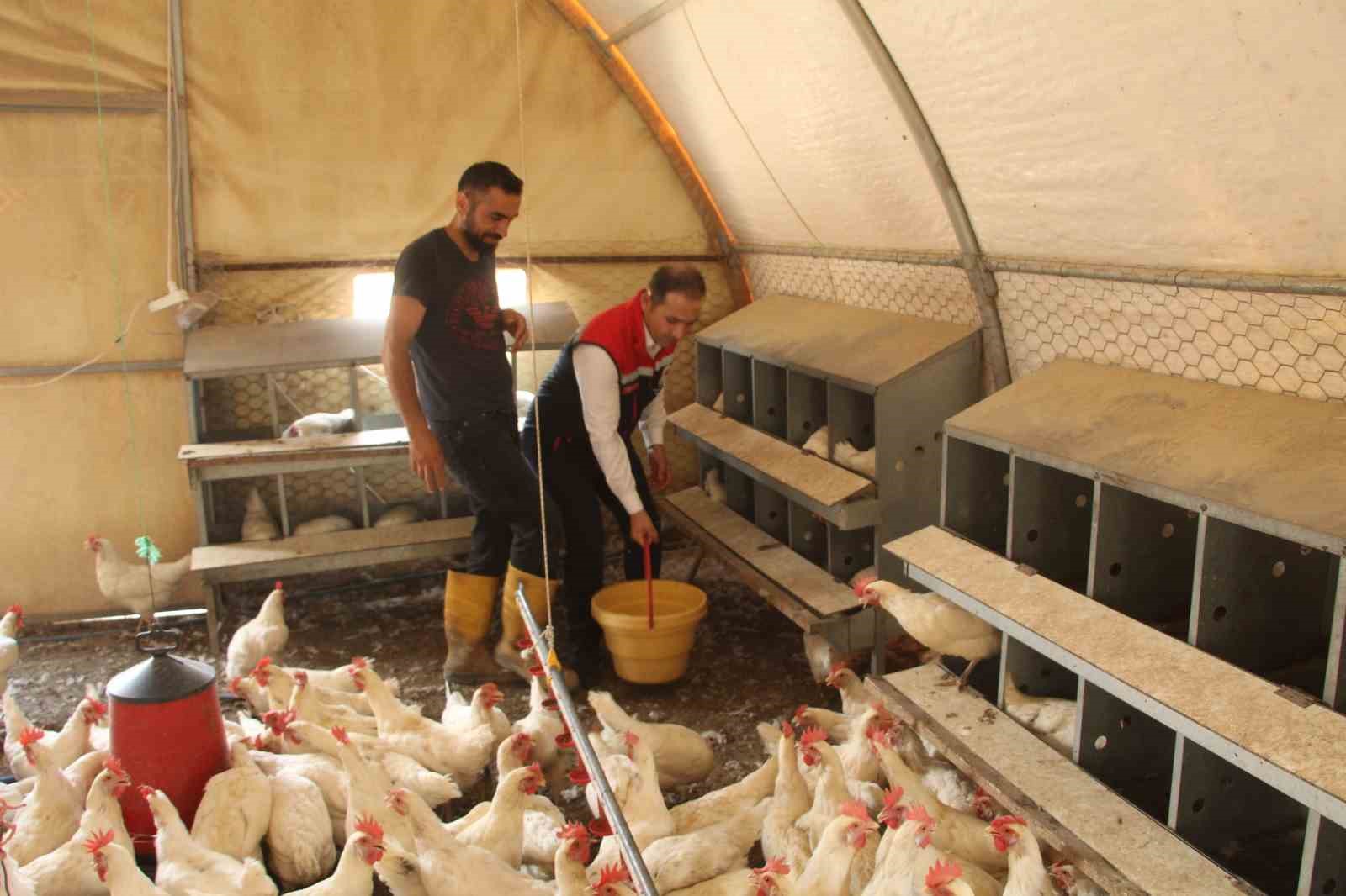 30 tavukla başladığı işletmesinde bin 700 tavuğa ulaştı 