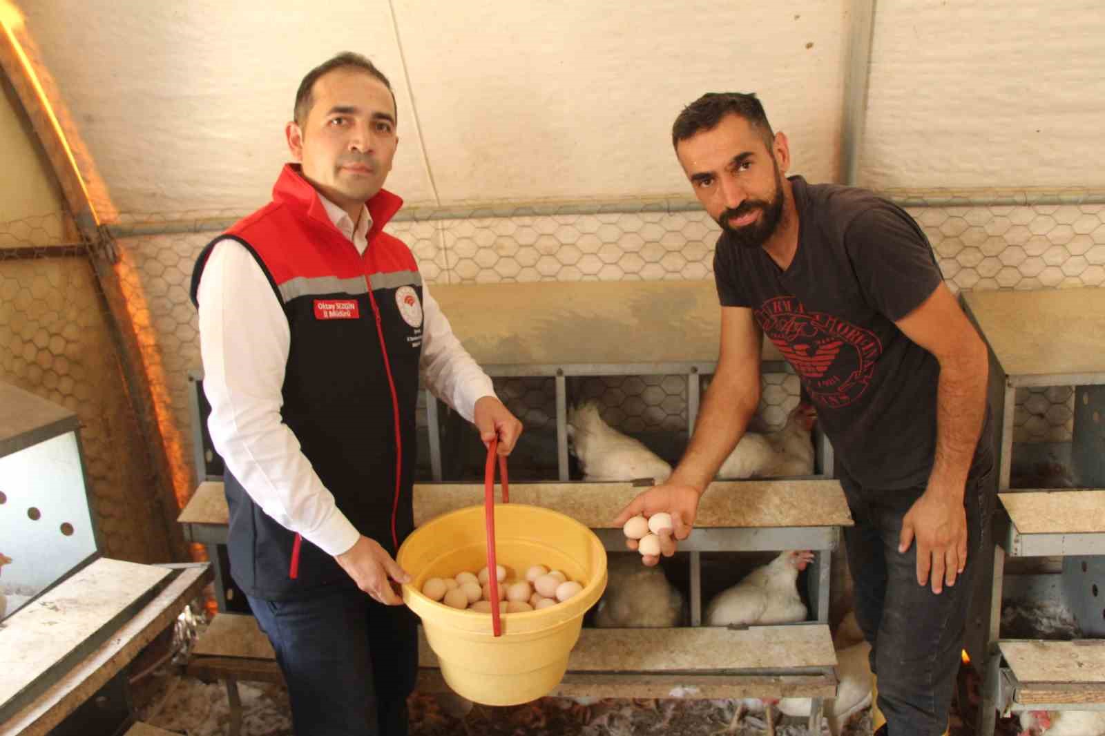 30 tavukla başladığı işletmesinde bin 700 tavuğa ulaştı 